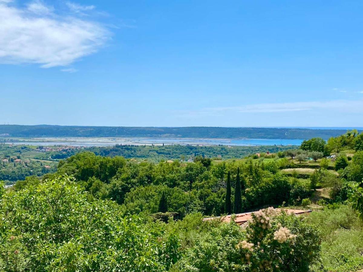 Apartma Hill Portorose エクステリア 写真